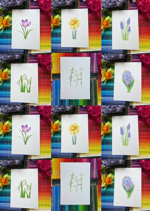 Postcard set of 8 Botanical Illustration "Stolen Spring"