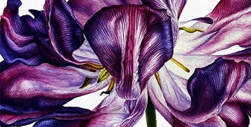 Watercolor art & Colored pencils art