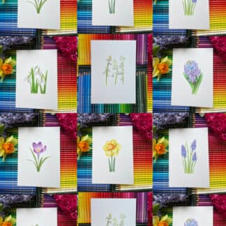 Postcard set of 8 Botanical Illustration "Stolen Spring"