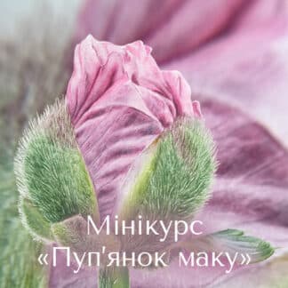 Мінікурс «Пуп'янок маку»